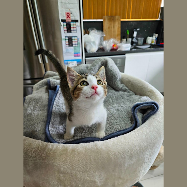 Photo of Beanie