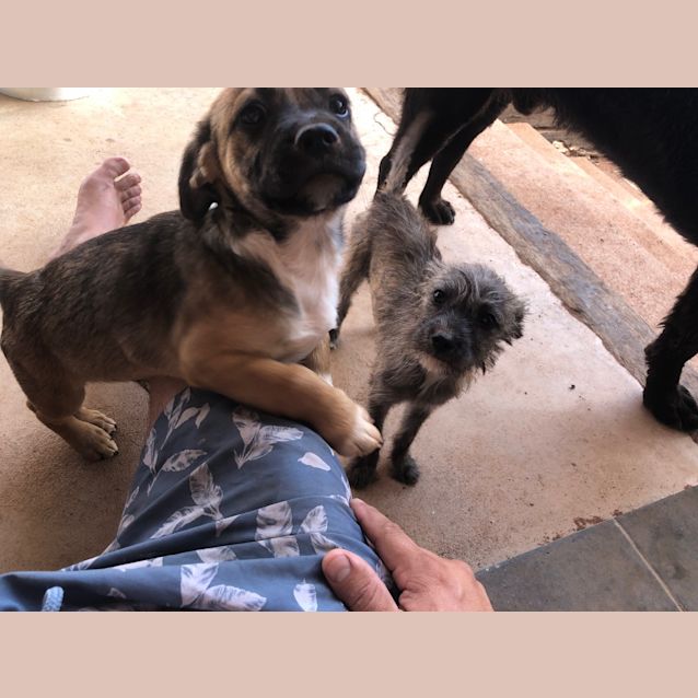 Photo of Maximillion