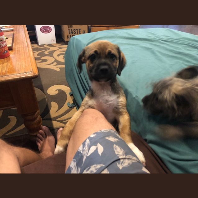 Photo of Maximillion