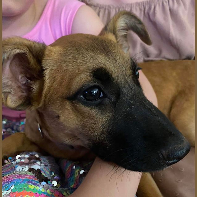 Photo of Jessie