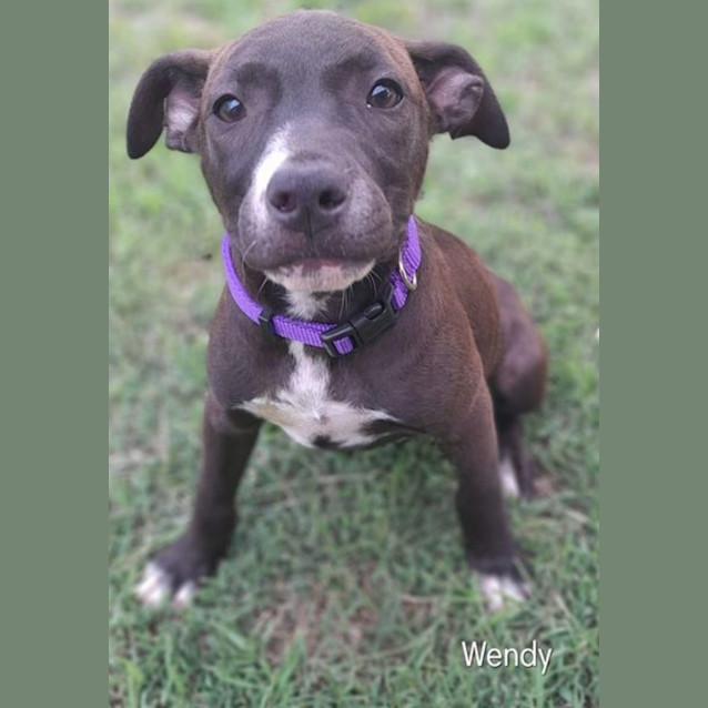 Photo of Wendy