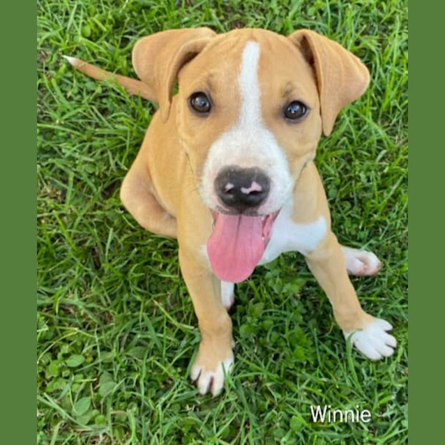 Photo of Winnie