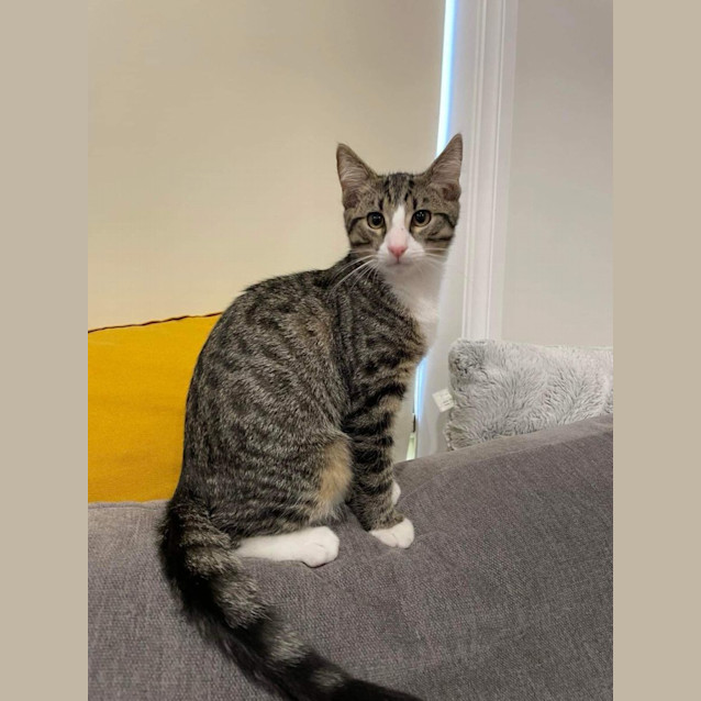 Photo of Velma & Shaggy