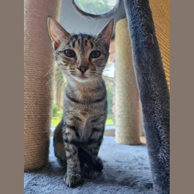 Photo of Velma & Shaggy