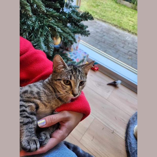 Photo of Velma & Shaggy