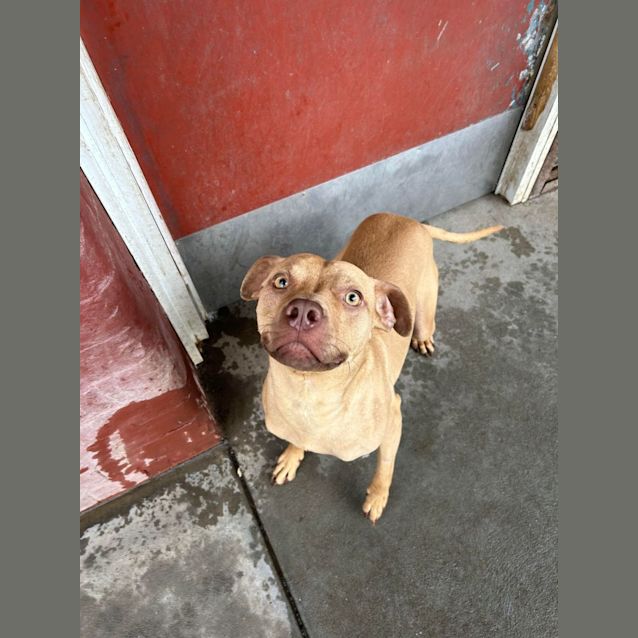 Photo of Hector 