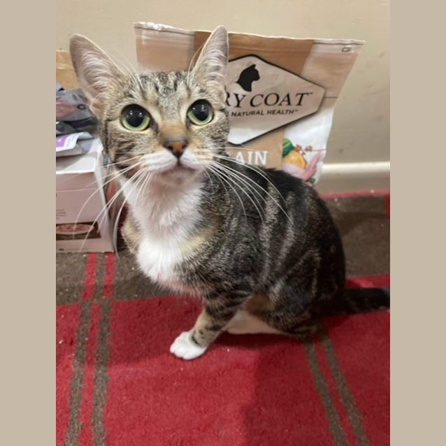 Photo of Pixie
