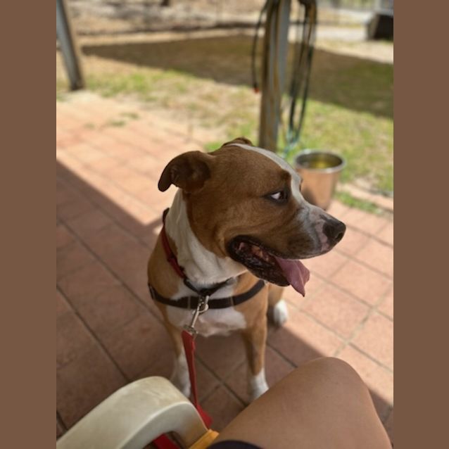 Photo of Rafiki