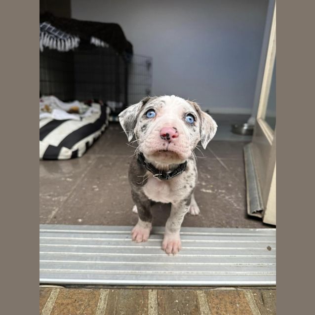 Photo of Yuna (Was Cupcake)