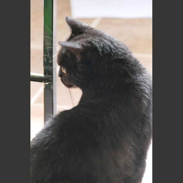 Photo of Betty Lou