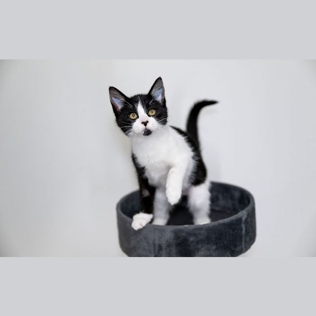 Photo of Jasmine