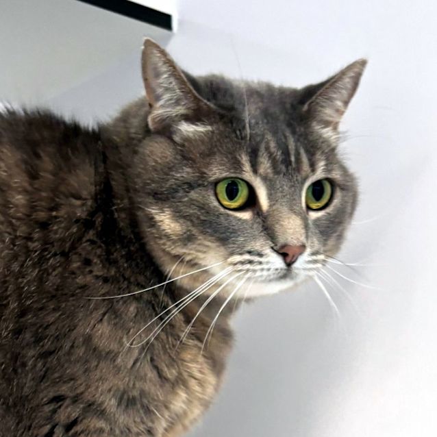 Photo of Ivy Sta011853