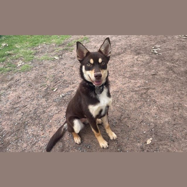 Photo of Kyla