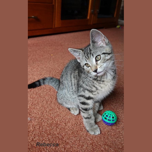 Photo of Rebecca