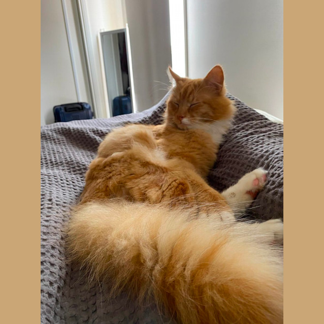 Photo of 🎃 Pumpkin 🎃