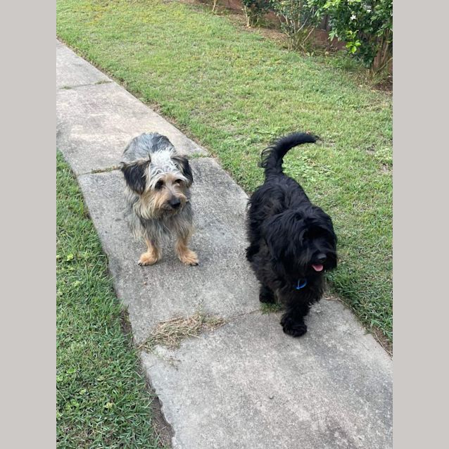 Photo of Barney & Bonnie