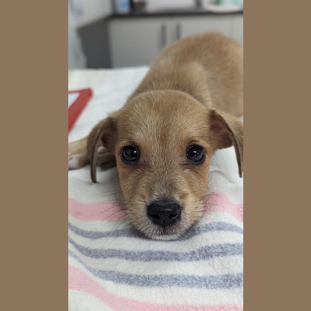 Photo of Thor