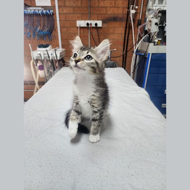 Photo of Frosty ❄️☃️