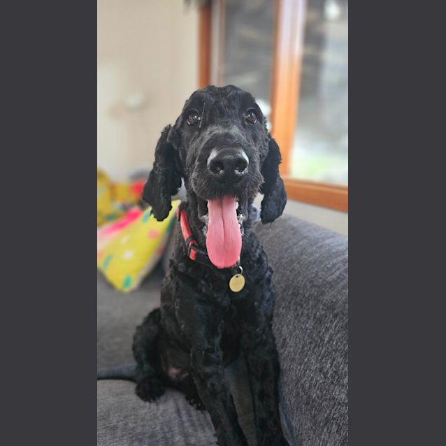 Photo of Fooie
