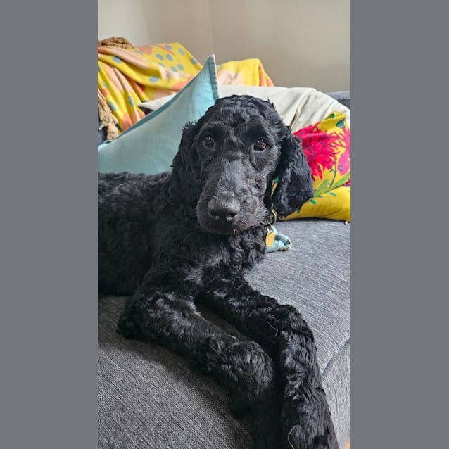 Photo of Fooie