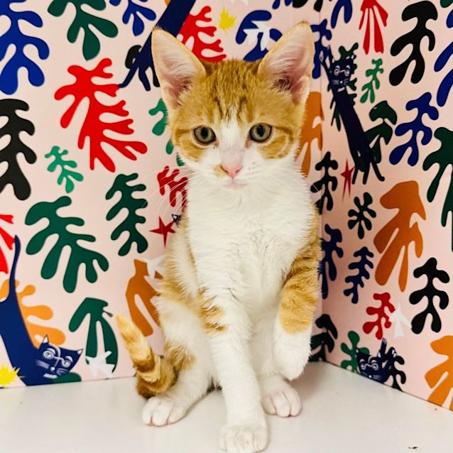 Photo of Janice   Located In Frankston