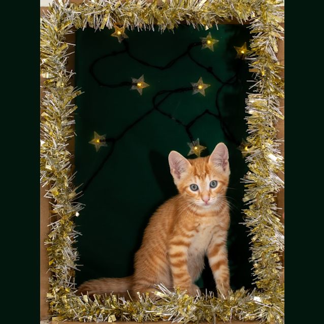 Photo of Mr Invincible