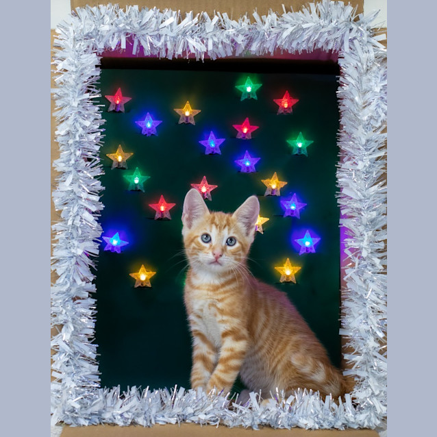 Photo of Mr Invincible