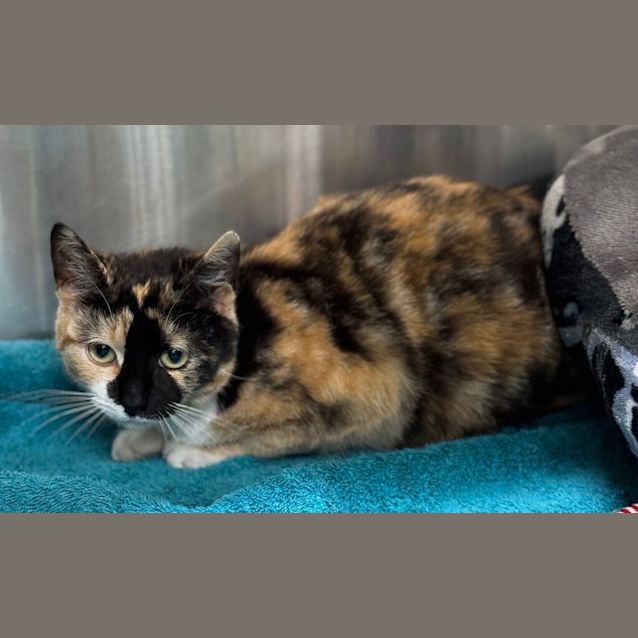 Photo of Molly