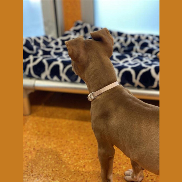 Photo of Nyla