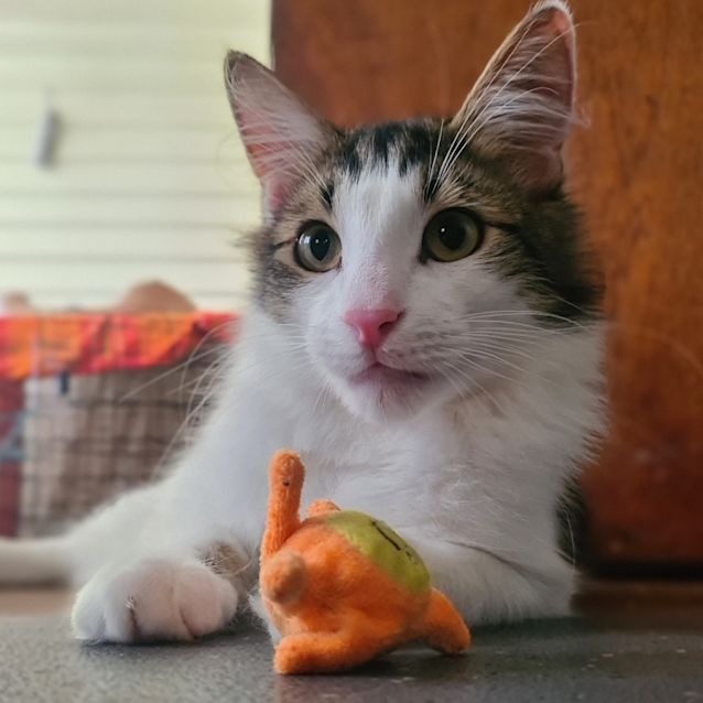 Photo of Raymond 