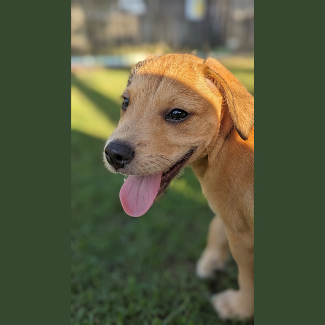Photo of Thor