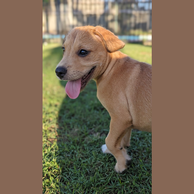 Photo of Thor