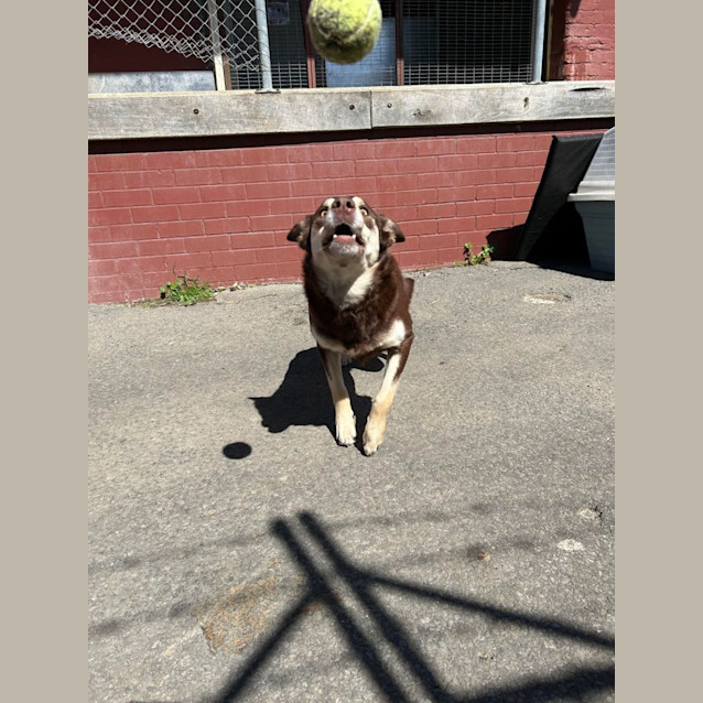 Photo of Lotti