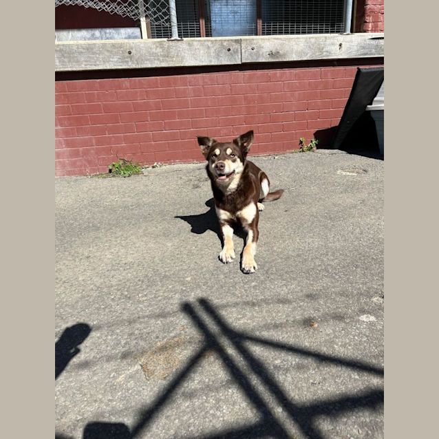 Photo of Lotti