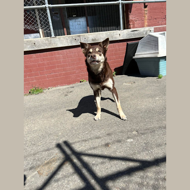 Photo of Lotti