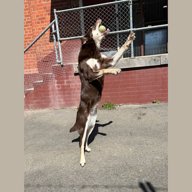 Photo of Lotti