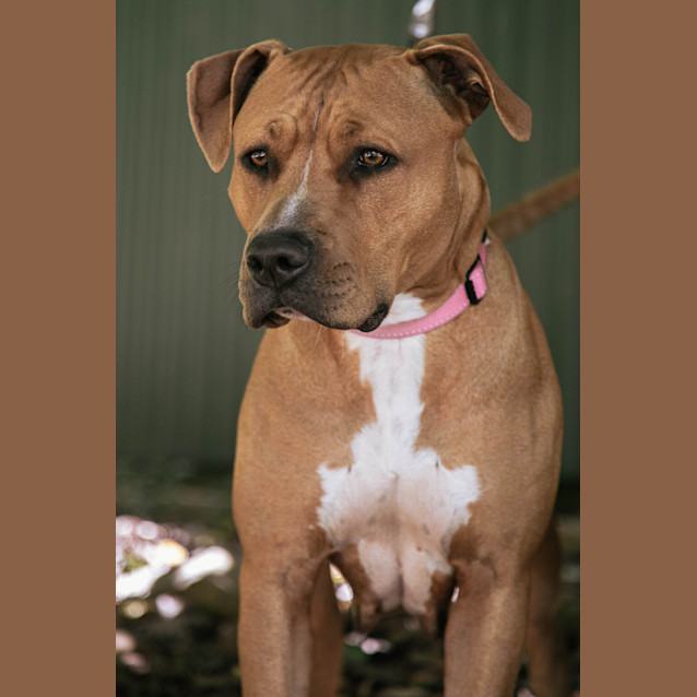 Photo of Loca