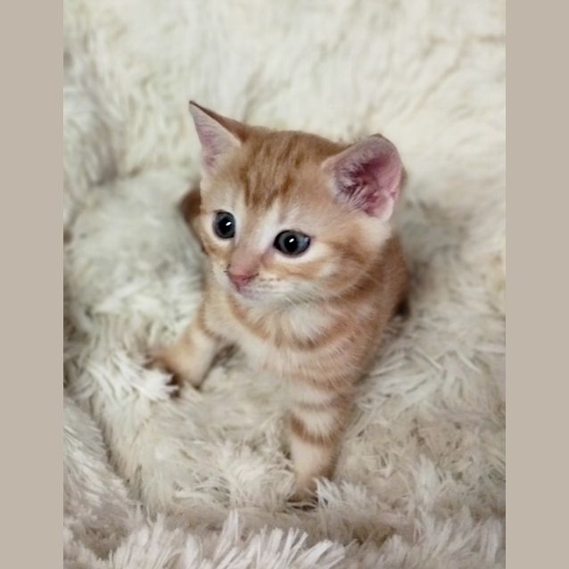 Photo of Emmy