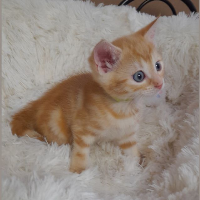 Photo of Emmy
