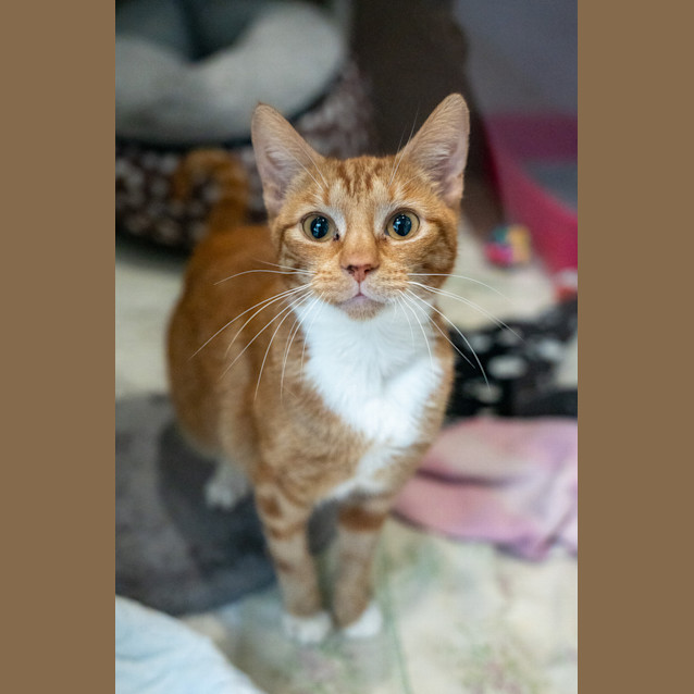 Photo of Tilly