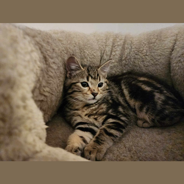 Photo of Winnie