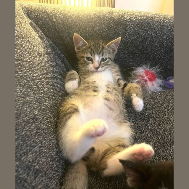 Photo of Leo