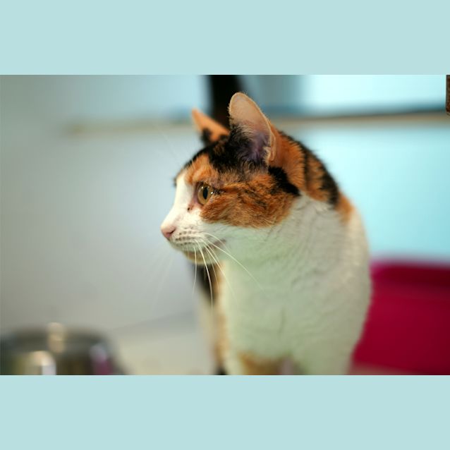 Photo of Minnie