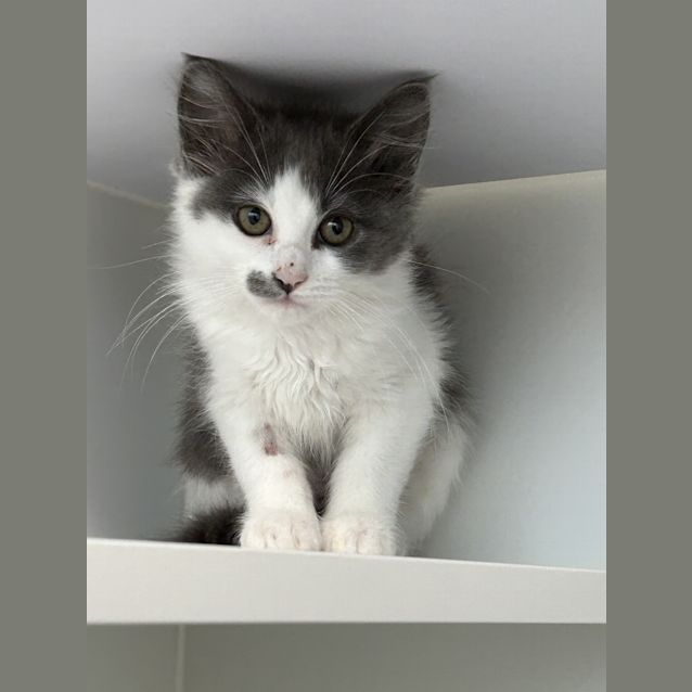 Photo of Anastasia 