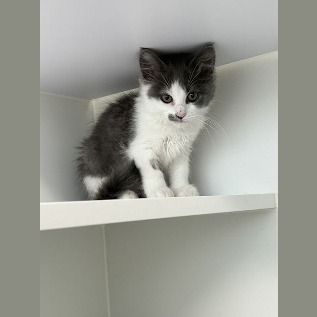 Photo of Anastasia 
