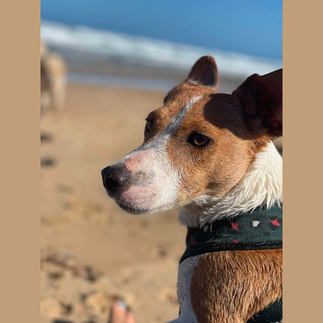 Photo of Jack 