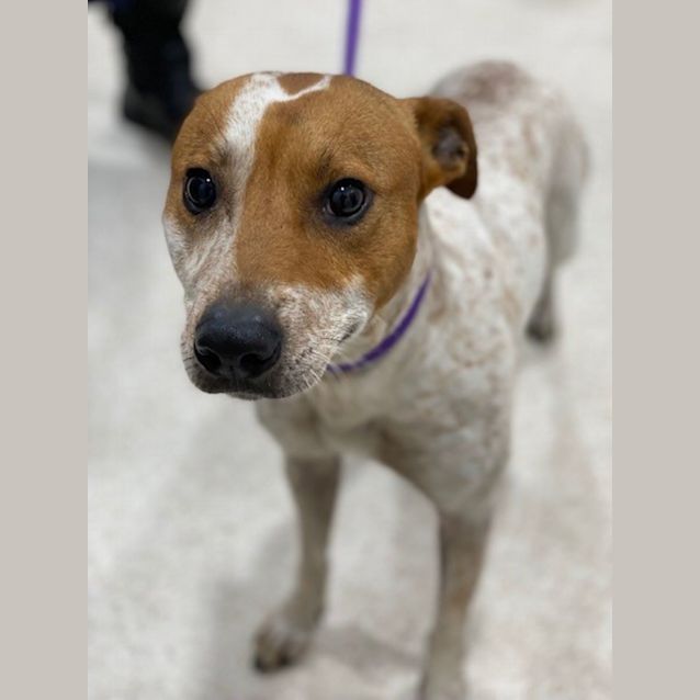 Photo of Mike (0075)