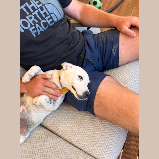 Photo of Pepper