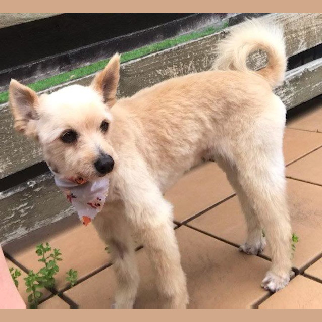 Photo of Jasper Nightingale