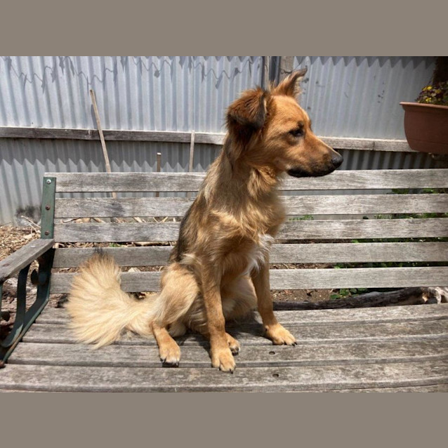 Photo of Bear Van Winkle